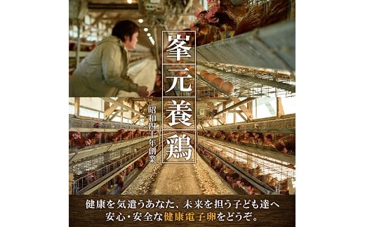 《数量限定》鹿児島県産！健康電子卵(計120個・10個入り×12P) 国産 九州産 たまご タマゴ 玉子 生たまご 親鳥 親鶏 新鮮 鶏卵 卵黄 常温 小分け パック 朝ごはん 卵かけごはん TKG 