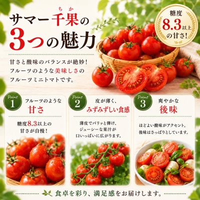 【先行受付】八ヶ岳産　高原育ちのフルーツミニトマト サマー千果 約2kg【配送不可地域：離島】