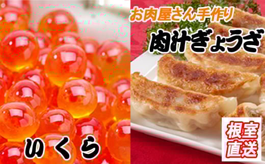 A-36042【年内配送可】 餃子25個×1P、いくら醤油漬け100g×1P