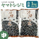 【ふるさと納税】青森県十三湖産【冷凍】ヤマトシジミ 中 1kg｜十三湖産 青森 津軽 つがる しじみ みそ汁 味噌汁 しじみ汁 [0016]