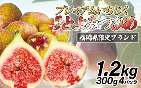 福岡県ブランドいちじく「博多とよみつひめ」300g×4パック [M775-1] 福岡県限定 果肉 上品 甘い なめらか食感 糖度17度 フルーツ 果物