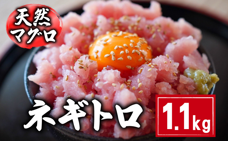 
天然マグロ ネギトロ 1.1kg 10,000円 まぐろ 鮪 刺身 赤身 肉 ビンチョウマグロ ビンチョウ メバチマグロ 鉢マグロ メバチ キハダマグロ キハダ ネギトロ マグロ漬け 海鮮丼 丼 寿司 鉄火丼 魚 海鮮 魚介 おつまみ おかず 冷凍 小分け 個包装 お取り寄せ 国産 千葉県 銚子市 和田水産
