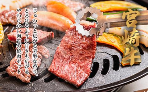 日本一美味しいブランド牛「宮崎牛」焼肉＆バラエティー国産焼鳥セットC TF0703-P00020