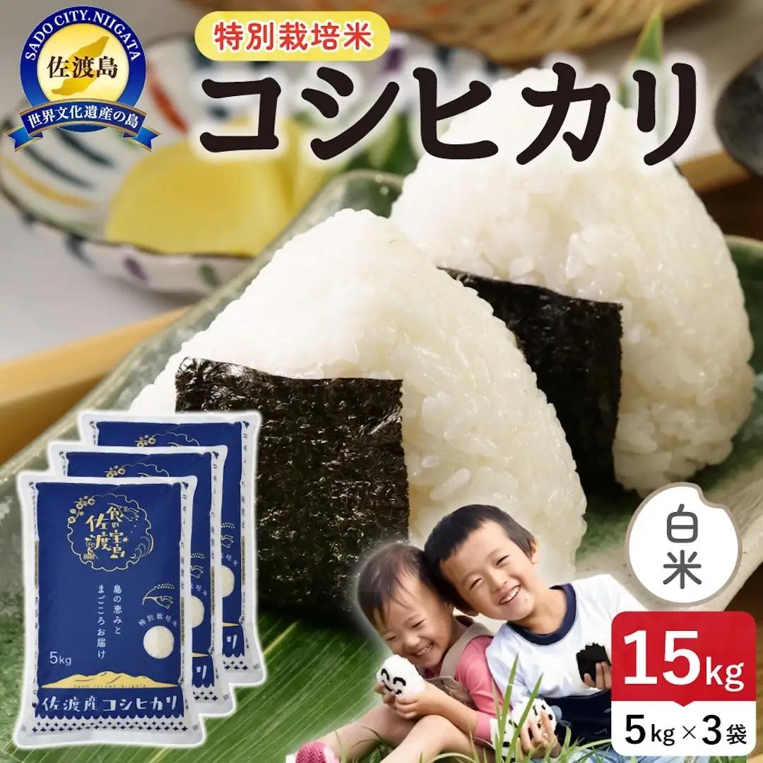 令和8年産 佐渡島産コシヒカリ 白米15kg 特別栽培米 195962-121502