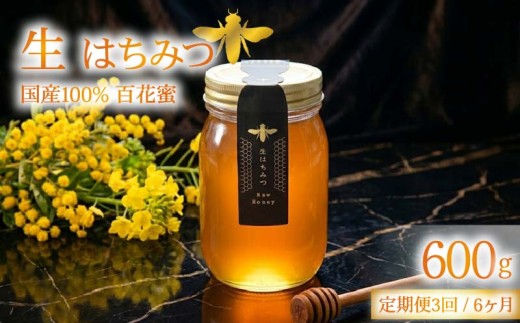 蜂蜜 ローハニー 600g 1本 3回 定期便 隔月 国産 非加熱 百花蜜 生はちみつ 純粋 ハニー 発酵食品 下田みつばち 静岡県 下田市 伊豆