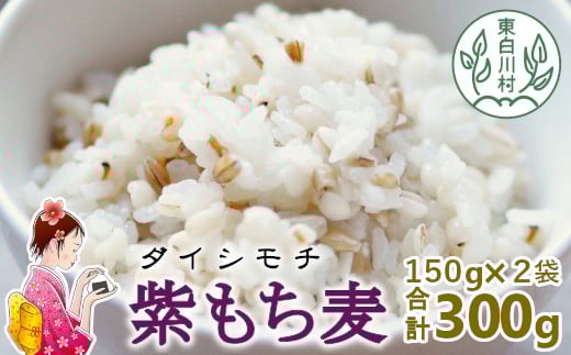 東白川村産 紫もち麦 ダイシモチ 150g×2袋 計300g もち麦 麦 大麦 雑穀 お米 こめ 精米 ご飯 食物繊維 お取り寄せ 2000円