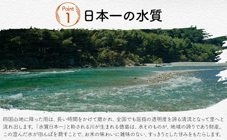 【先行予約】白米 徳島ふるさと応援米 5kg 《2026年11月以降順次出荷》 生活応援企画 米 精米 送料無料 徳島県 佐那河内村 白米 ブレンド米 こめ コメ お米
