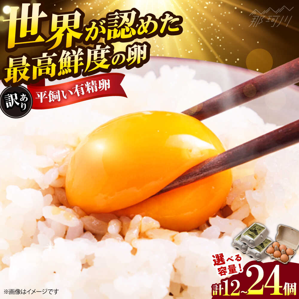 【ふるさと納税】【訳あり】【選べる容量】訳あり 金太郎卵 平飼い たまご 12個（6個×2パック）＜有限会社フジノ香花園＞那珂川市 | たまご 訳アリ 卵 直配送 安心 安全 有精卵 こだわり 卵 わけあり 割れ保証付 [GAM039] 10000 10000円 1万円 以下