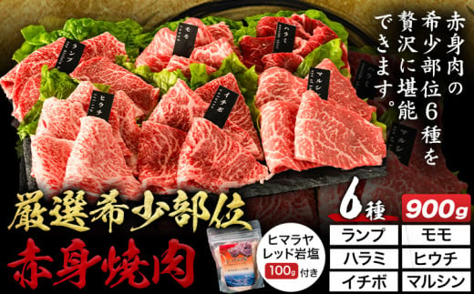 厳選希少部位赤身焼肉6種セット 約900g (株)仲辻《30日以内に出荷予定(土日祝除く)》大阪府 羽曳野市 希少部位 厳選 赤身 肉 牛肉 ランプ モモ ハラミ ヒウチ イチボ マルシン