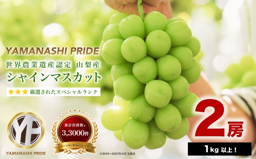 フルーツ王国山梨産厳選 シャインマスカット   2房 (1kg以上)【1108669】