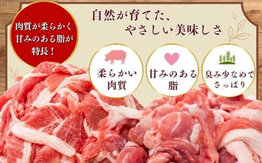 放牧豚の切り落とし肉 約1.5kg（約300g×5パック）