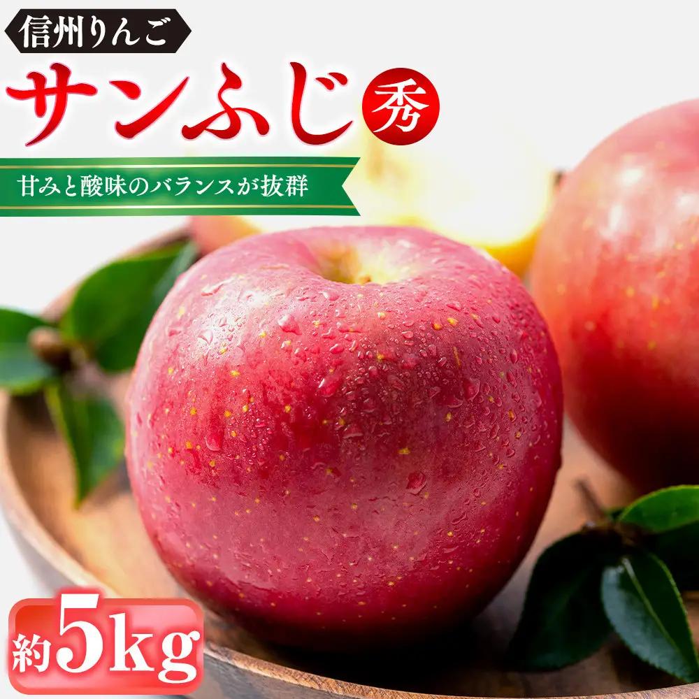 前島農家 信州りんご・サンふじ（秀）約5kg（12個～18個） | りんご
