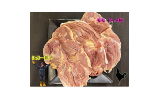 青森シャモロックもも肉　1kg　冷凍【1496080】