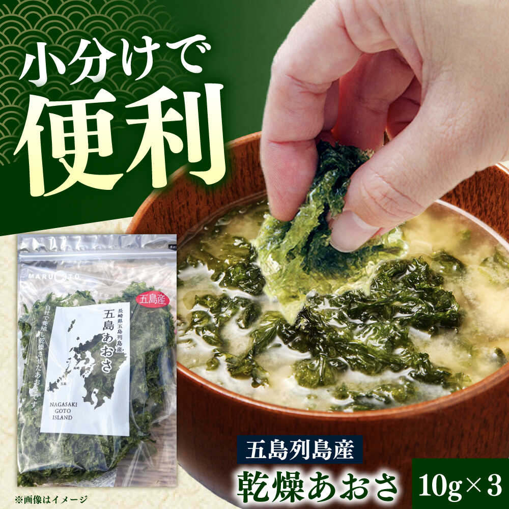 【ふるさと納税】五島列島産あおさ　10g×3袋【マルオト】[RCS001]