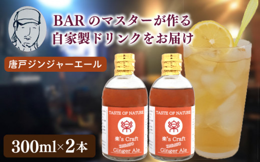 選べる クラフトドリンク（ジンジャーエール）2本 セット ノンアルコール Music Craft Drink 唐戸 ジンジャーエール クラフトジンジャーエール 下関 大人 ドリンク 音楽 ハイボール モスコミュール シロップ カクテル お酒 リキュール 下関 山口