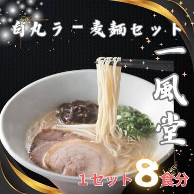 「一風堂」白丸 ラー麦麺セット 合計8食分セット(岡垣町)