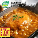 【ふるさと納税】【レビューキャンペーン対象】【ご当地カレー】ハンバーグカレー 9パック - きじょん山豚ハンバーグ入り レトルトカレー 温めるだけ レトルト食品 湯煎調理 常温保存可能 簡易包装 お惣菜 ハンバーグ カレー スピード配送便 送料無料 【宮崎県木城町】