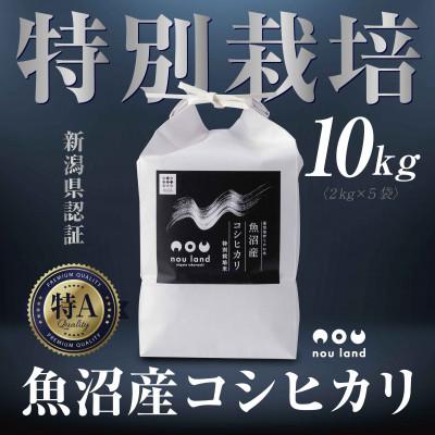 ふるさと納税 十日町市 【令和7年産 新米予約】魚沼産 コシヒカリ 特別栽培米 2kg ×5袋 新潟県 十日町市 のうランド