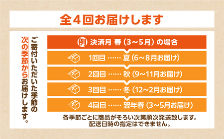 【定期便】あつみの旬の野菜BOX 4回定期便 やさい