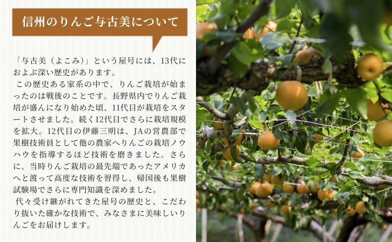 梨 幸水 5kg 2026年秋 信州の梨 シャリっとしてみずみずしい梨 果物 くだもの フルーツ 旬の果物 旬のフルーツ 信州 長野 長野県
