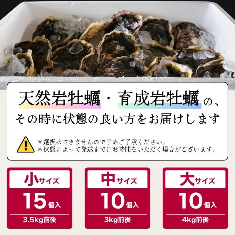 訳あり 岩がき 小サイズ 15個入 3.5kg前後 生食用 ： 牡蠣 殻付き