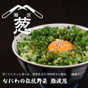《先行予約》《年内発送》12月配送 幻のねぎ 難波葱 2kg ねぎ 葱 鍋 青ねぎ 白ねぎ 野菜 旬 やさい 産地直送 採れたて 直送 フルーツ 果物 と同糖度 なにわ 伝統野菜 鍋セット 河内 大阪