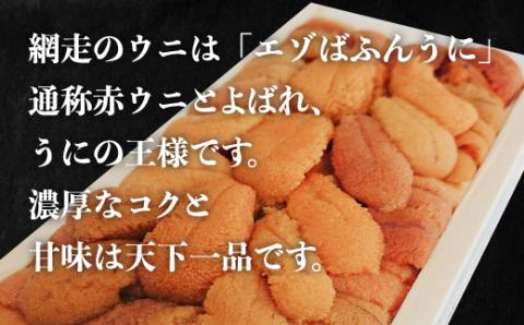 【先行予約】網走産 生エゾばふんうに 冷蔵100g×2折（2024年3月から7月の期間に発送予定） ABC009