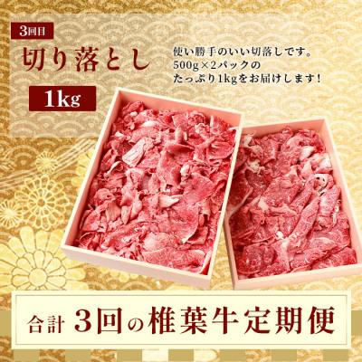 ふるさと納税 椎葉村 【 定期便 3回 】 総重量 1,900g 牛肉 椎葉牛の スライス肉 & 切り落とし肉 定期便 |  | 02