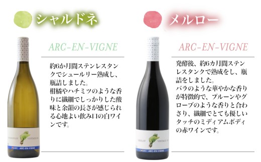 【アルカンヴィーニュ】定番ワイン 赤白2本セット (シャルドネ・メルロー)_ ｜ ワインセット 辛口 お酒 ギフト プレゼント 果実酒 瓶 国産 信州 長野県東御市 飲み比べ 日本ワイン 長野ワイン 