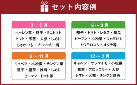 【10種類】熊本県産 肥後の国 野菜の詰め合わせセット