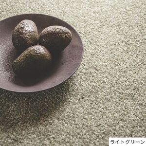 H146(ライトグリーン・200×250cm) 3色から選べる防虫・防ダニ・防カビ・抗菌のマルチ機能無地ラグ 2サイズ展開【カーペット ラグ マット 幅 200cm 250cm 2m ムシカビクリーン
