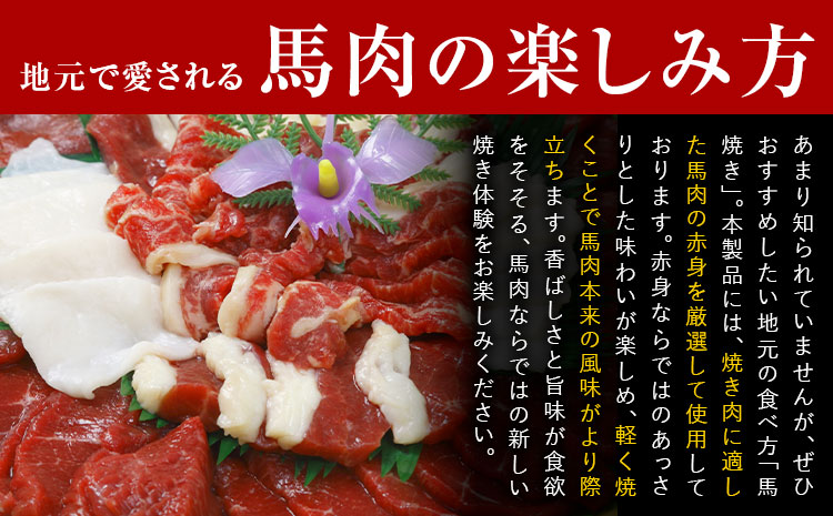 馬肉焼肉用 500g カット済 長洲町L（桜屋）《30日以内に出荷予定（土日祝除く）》熊本県 長洲町 送料無料 肉 馬肉 焼肉