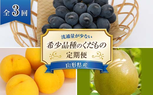 【令和9年産先行予約】 《定期便3回》 流通量が少ない"希少