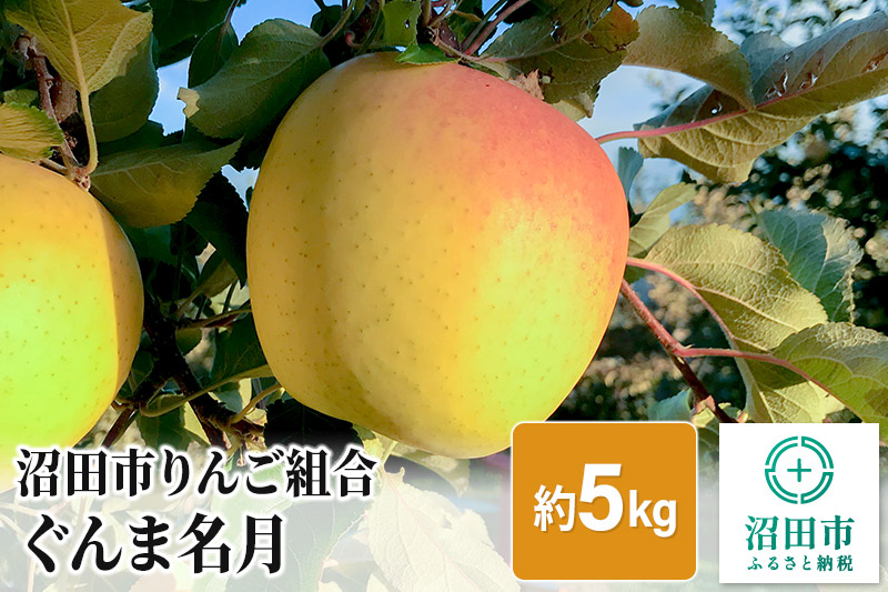 
沼田市りんご組合 りんご（ぐんま名月）約5kg 群馬県沼田市
