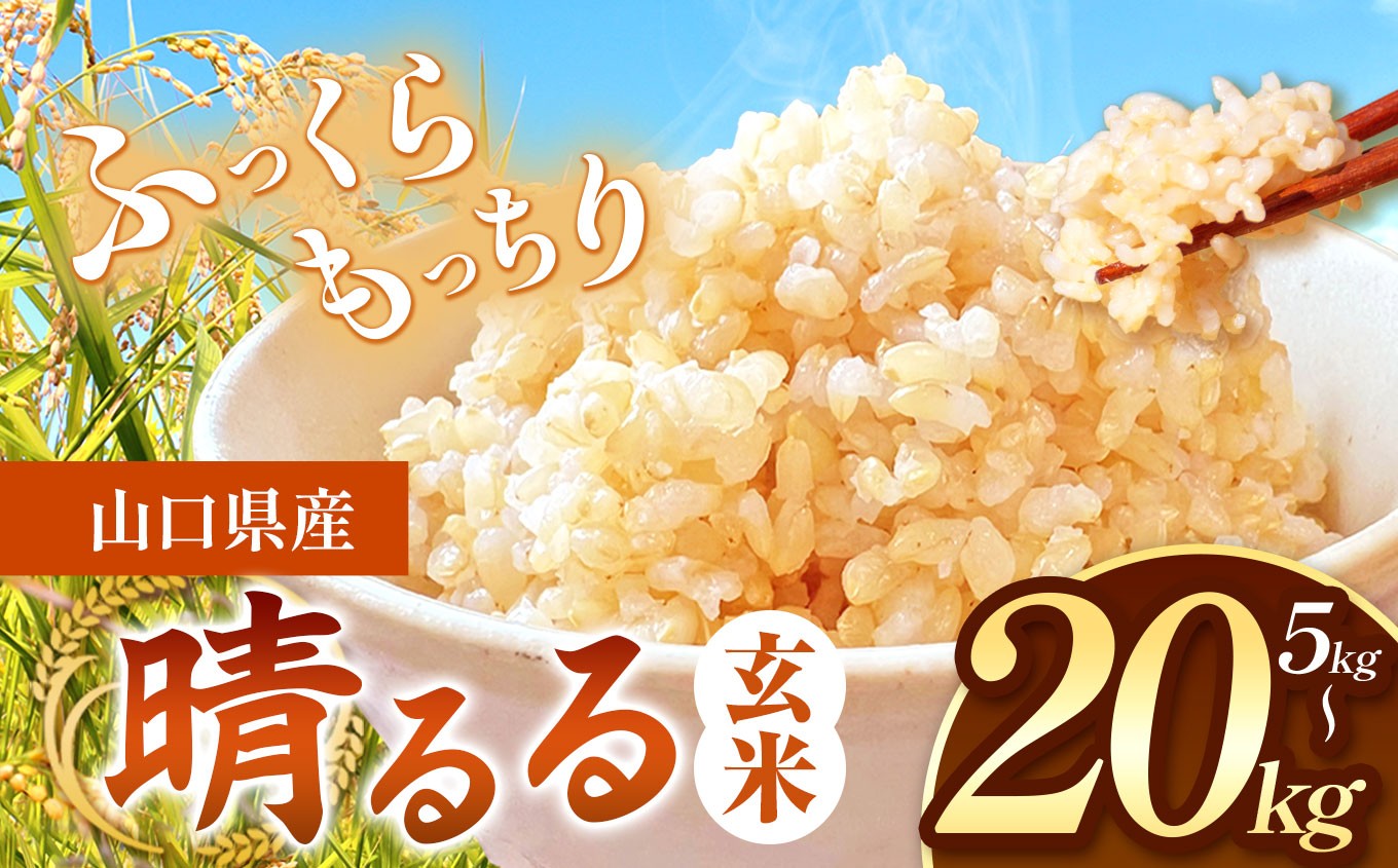 
                  令和8年度産 新米 晴るる 玄米  5 ～ 20 kg 村上農園 先行予約 ＜ 2026年9月下旬より11月末まで順次発送 ＞ ｜ 選べる 容量 米 精米 新米 玄米 雑穀 お米 コメ 単一米 晴るる はるる  山口 美祢 秋吉台 5kg 10kg 20kg
                