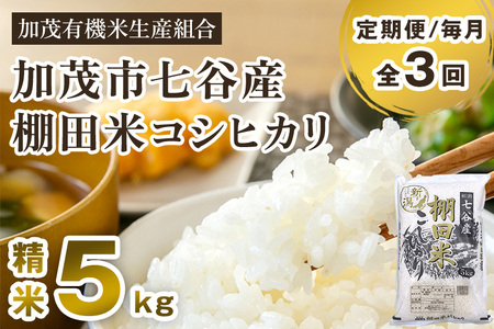 【令和7年産新米先行予約】【定期便3回毎月お届け】新潟県加茂市 七谷産 棚田米コシヒカリ 精米5kg 《10月中旬から順次出荷》 白米 加茂有機米生産組合 定期便 定期購入 定期 新潟県産コシヒカリ 米 お米