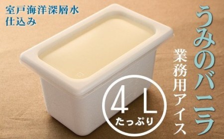 業務用アイス 4L バニラアイス アイス アイスクリーム 大容量アイス mt007