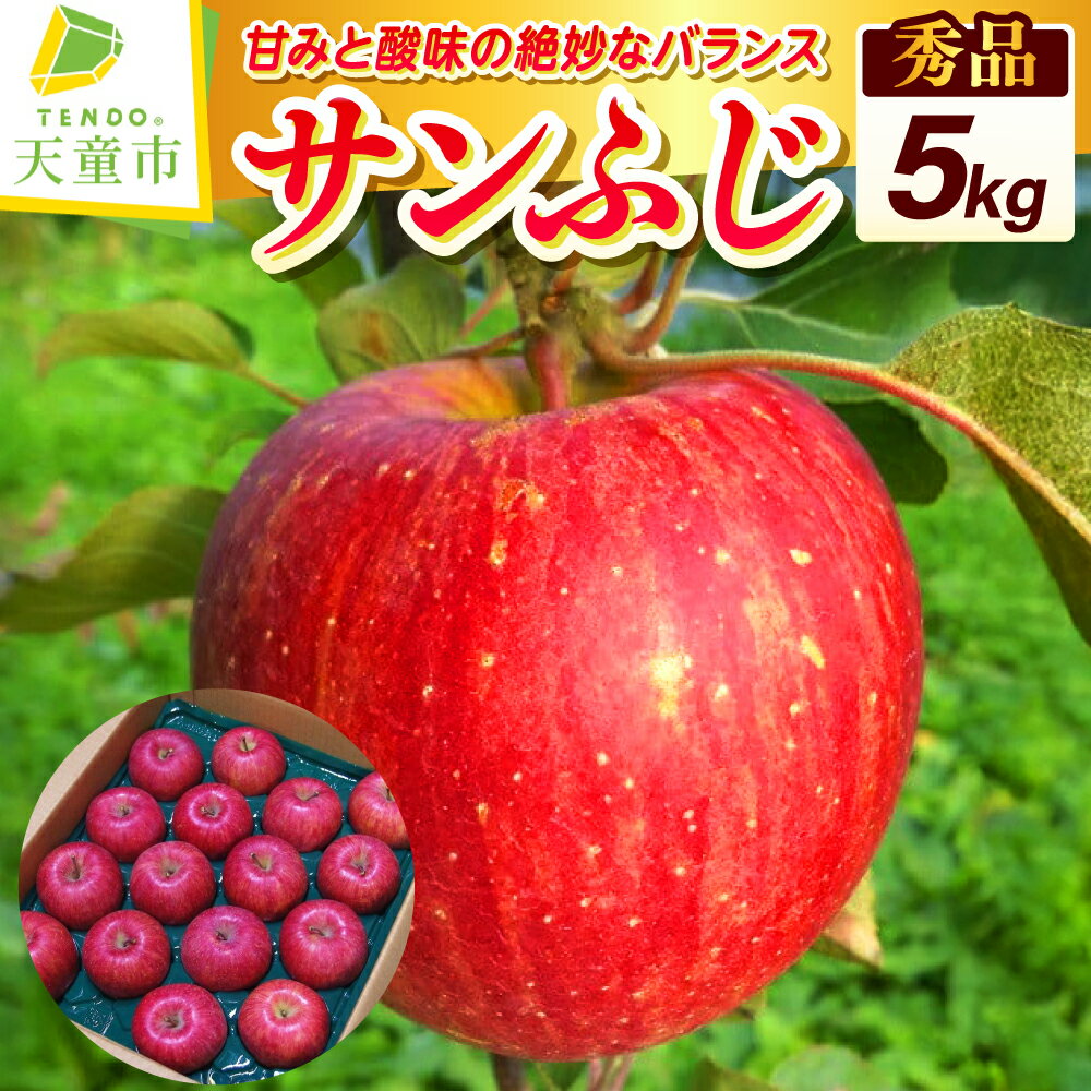 【ふるさと納税】 りんご ( サンふじ ) 5kg 秀 13〜18玉 令和8年産 先行予約 2026年 果物 フルーツ のし 贈答 ギフト プレゼント おすそ分け お取り寄せグルメ 旬 秋 冬 期間限定 産地直送 送料無料 【 山形県 天童市 】