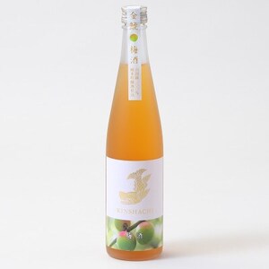 【金鯱】純米吟醸仕込みの梅酒(500ml×2本)【1485677】