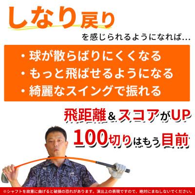 ふるさと納税 東大阪市 [7I/][練習用カーボンシャフト][右利き男性用]GNYA練習用 アイアン 1本 |  | 01