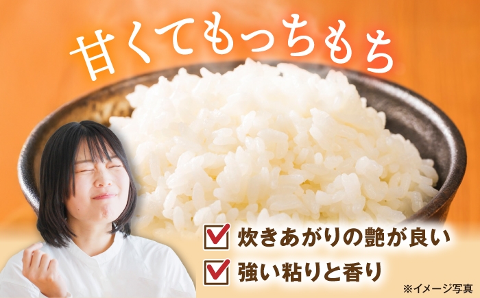 白米 コシヒカリ 18kg 米 お米 コメ 精米 kome こしひかり ご飯 ごはん ゴハン おにぎり 人気 おすすめ 長浜市