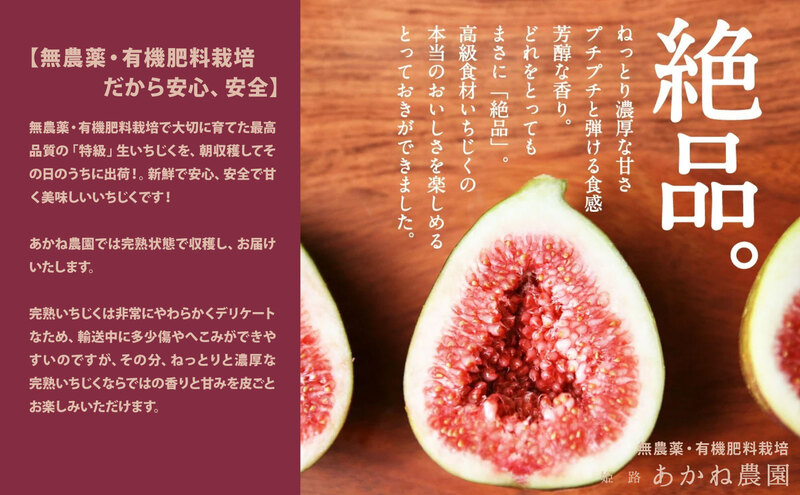 【栽培期間中 無農薬・有機肥料栽培】皮ごと食べれて甘い！あかね農園「 特級 生いちじく」9 個 桐箱入り