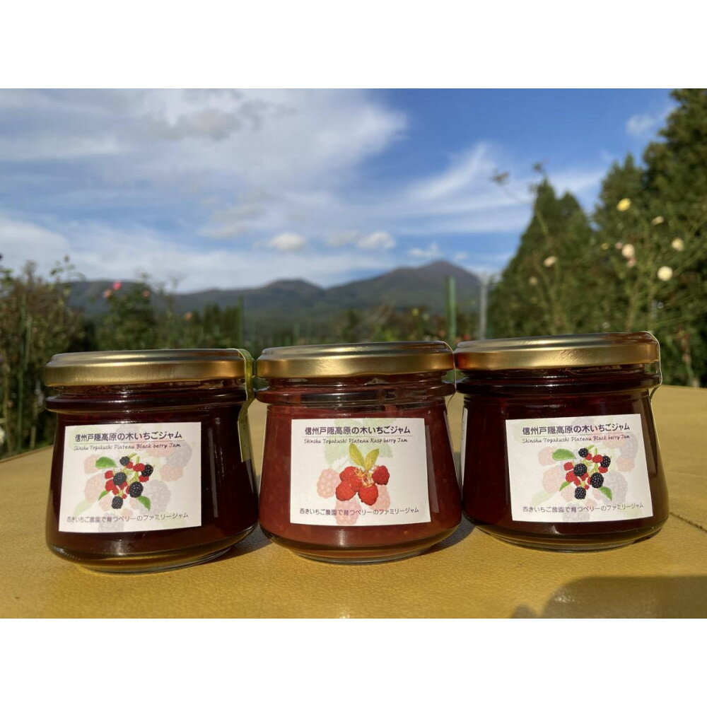 【ふるさと納税】信州戸隠高原のきいちごジャム3個セット（ブラックベリー2個・ラズベリー1個） | ジャム 長野県 長野市 お土産 ギフト 朝食 お取り寄せ