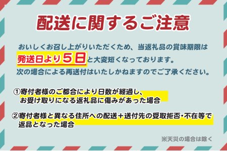 南国宮崎の新名物！南国プリン9個セット【C257】