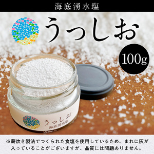  海底湧水塩うっしお 100g　YE01