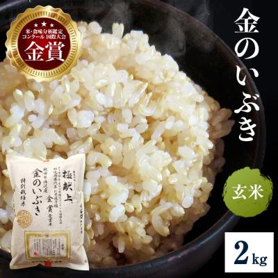 ふるさと納税 湯沢市 【令和8年産】特別栽培米 金のいぶき 玄米 2kg[B2107]