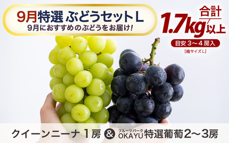 【先行予約】9月特選 ぶどうセットL 1.7kg以上（3～4房）／ 葡萄 クイーンニーナ 品種 おまかせ あわら 農家おすすめ ※2026年9月より順次発送 [aw007-b003]