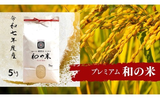 《 令和7年産 》和の米　「酵素米」　プレミアム　精米5kg ／ 米 こめ コメ お米 おこめ コシヒカリ こしひかり 和の米 酵素米 プレミアム 特別栽培認証 白米 精米 ごはん ご飯 令和7年産 5kg 茨城県 利根町 送料無料