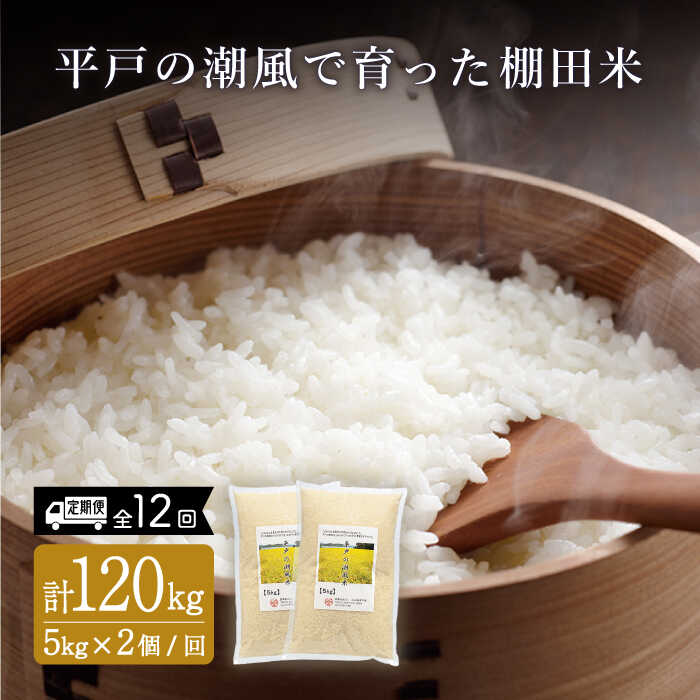 【ふるさと納税】【全12回定期便】平戸の潮風で育った 棚田米 計120kg （5kg×2個/回） 平戸市 / ひらど新鮮市場 [KAB174] にこまる ひのひかり こしひかり お米 こめ ご飯 ごはん 白米