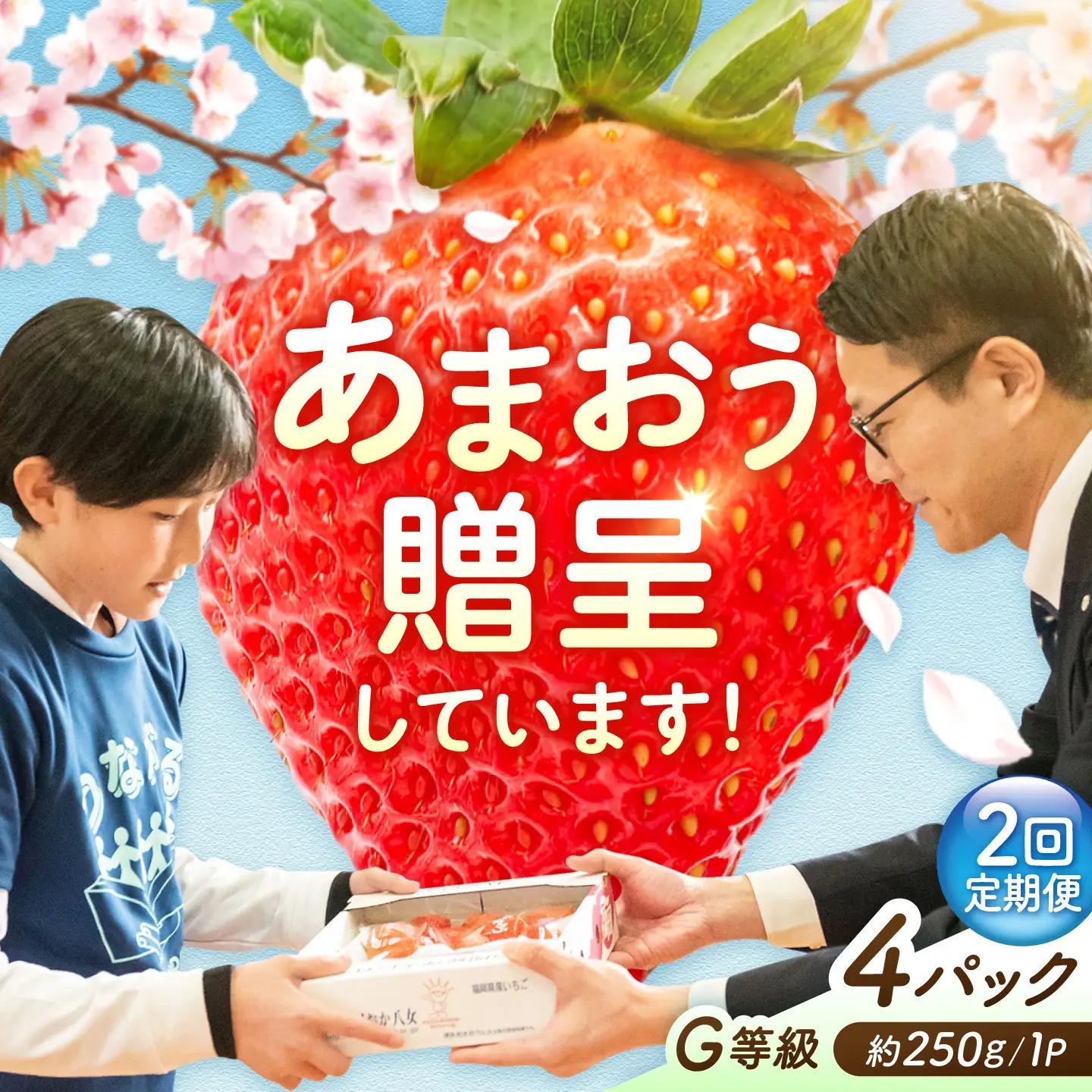 【2回定期便】いちご（あまおう）G等級 250g×4P / いちご[AFAB084]